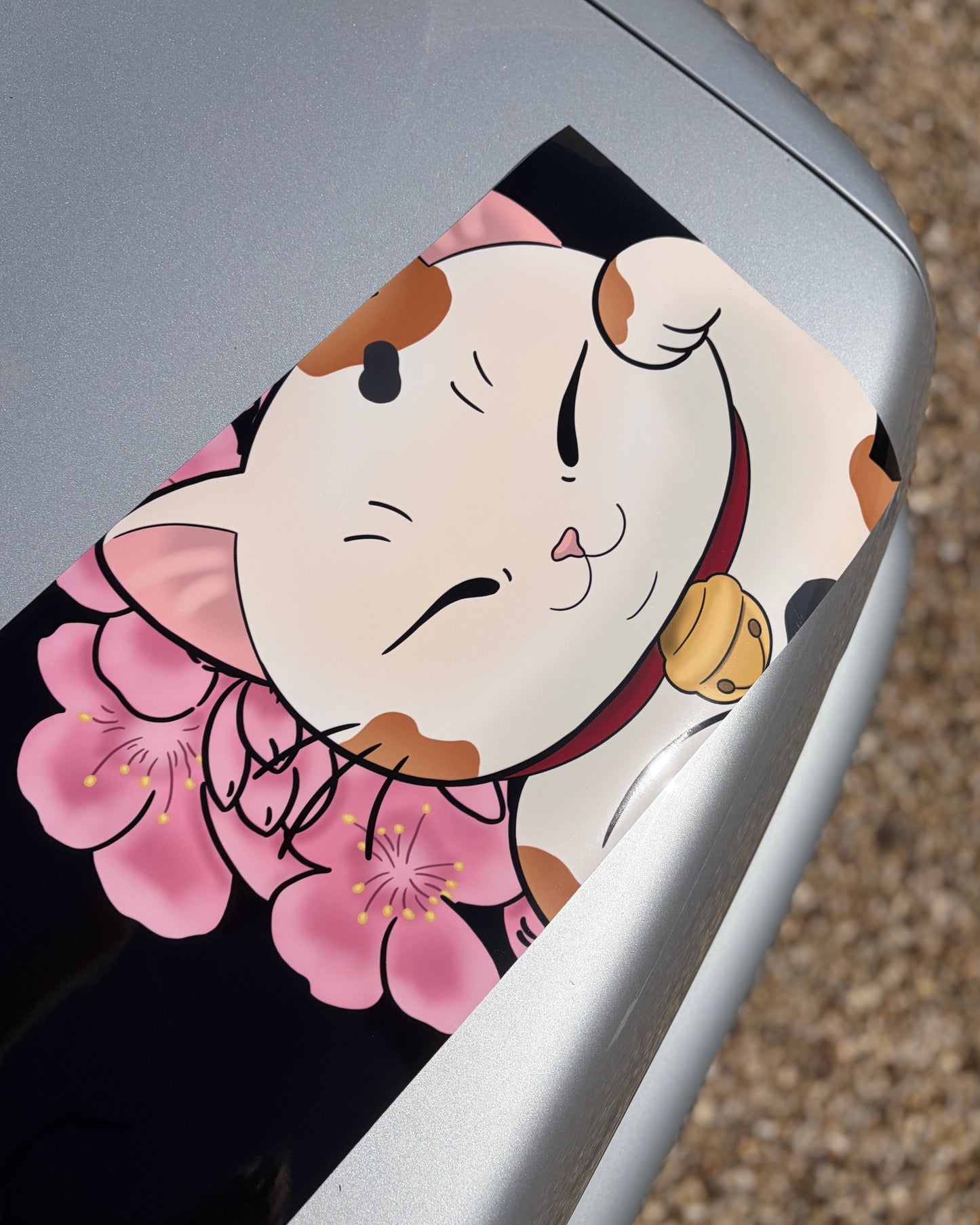 Gloss Graphic Sunstrip - Sakura Cat