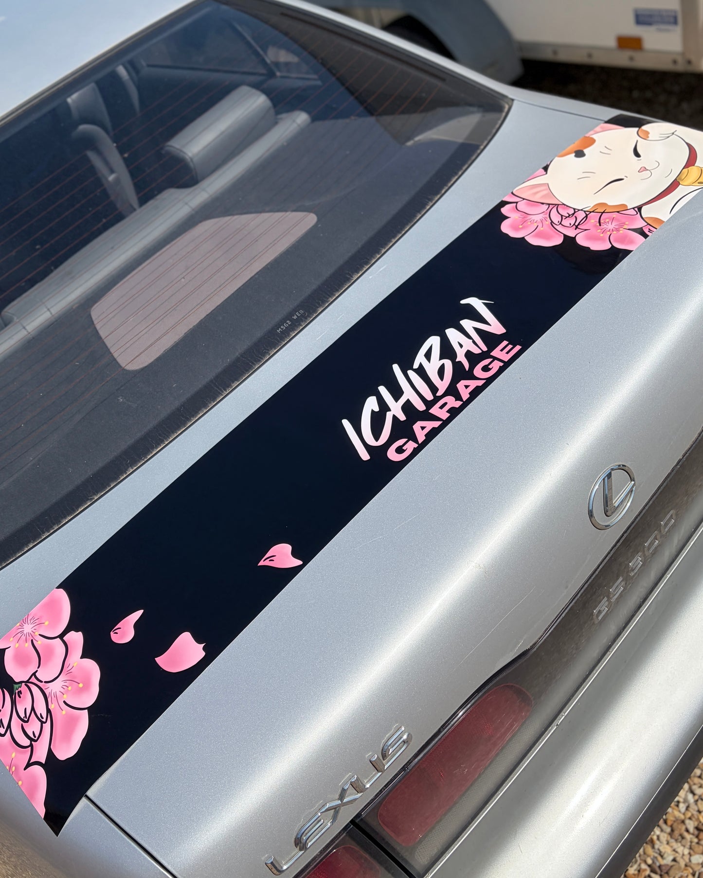 Gloss Graphic Sunstrip - Sakura Cat