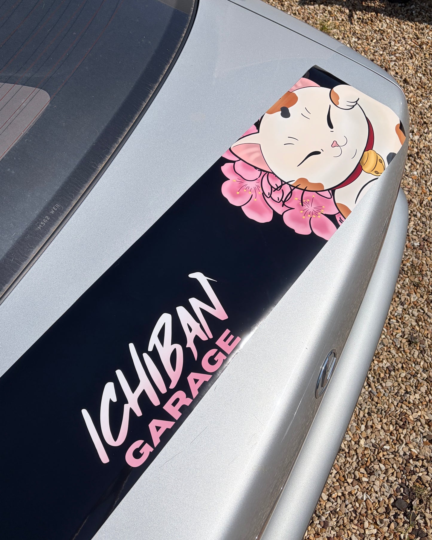 Gloss Graphic Sunstrip - Sakura Cat