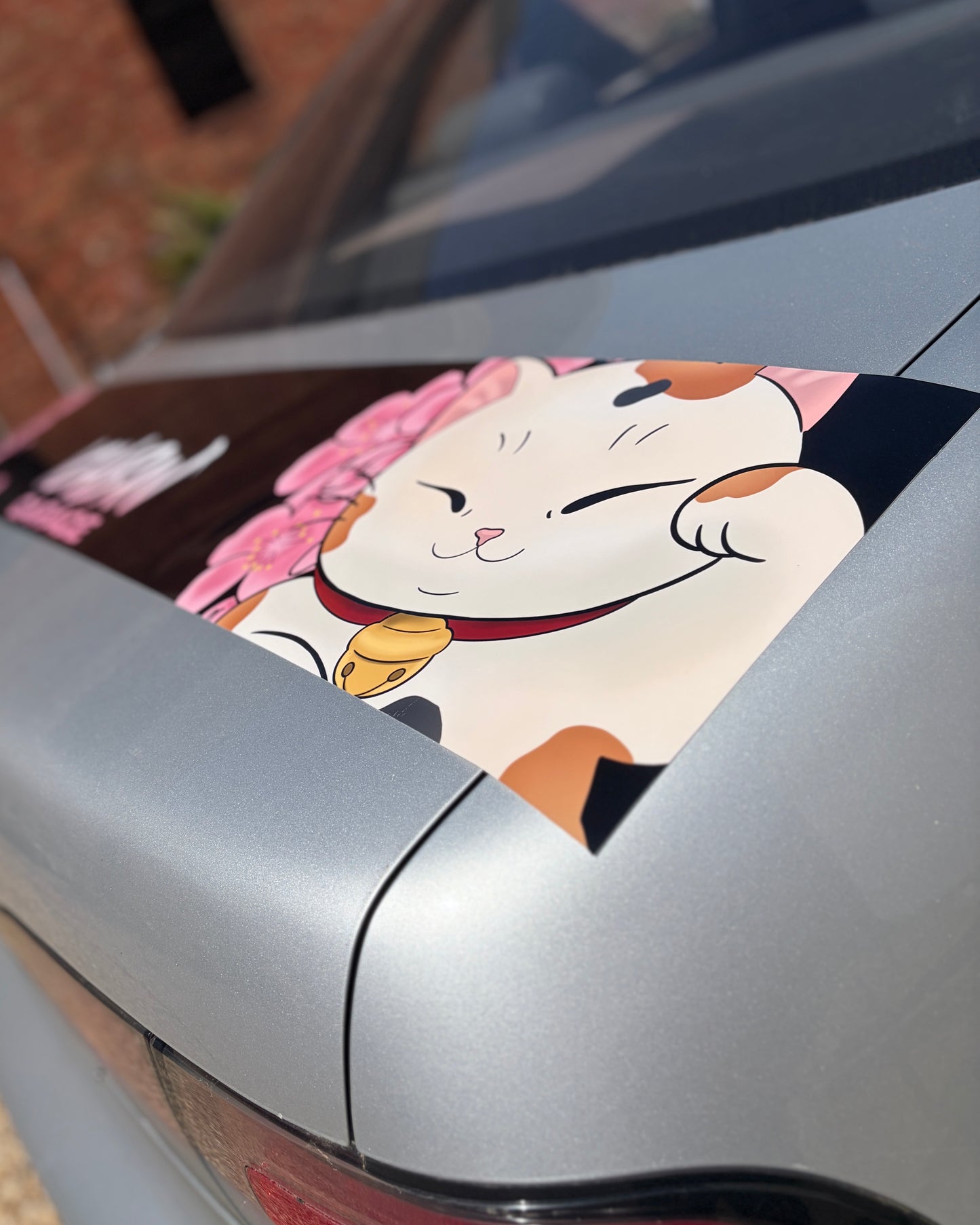 Gloss Graphic Sunstrip - Sakura Cat