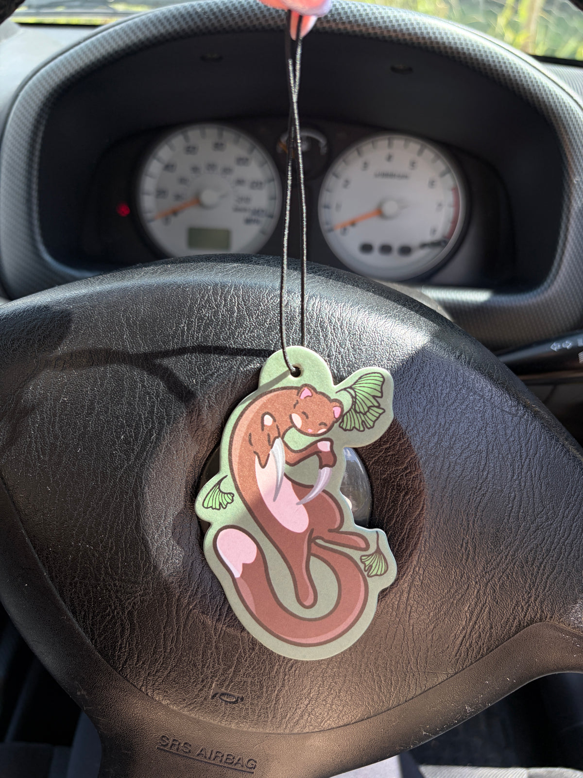 Car Air Freshener - Eucalyptus Scented